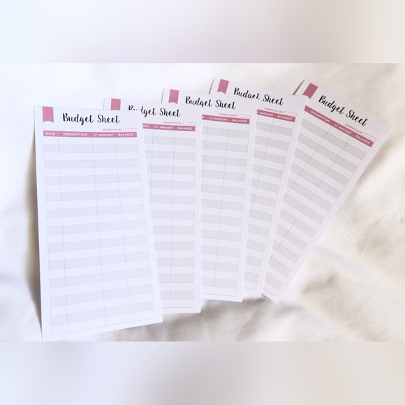 Budget Binder / Mean Girls / Budget Book / Burn Book / Cash Stuffing / Savings - Picture 3 of 8